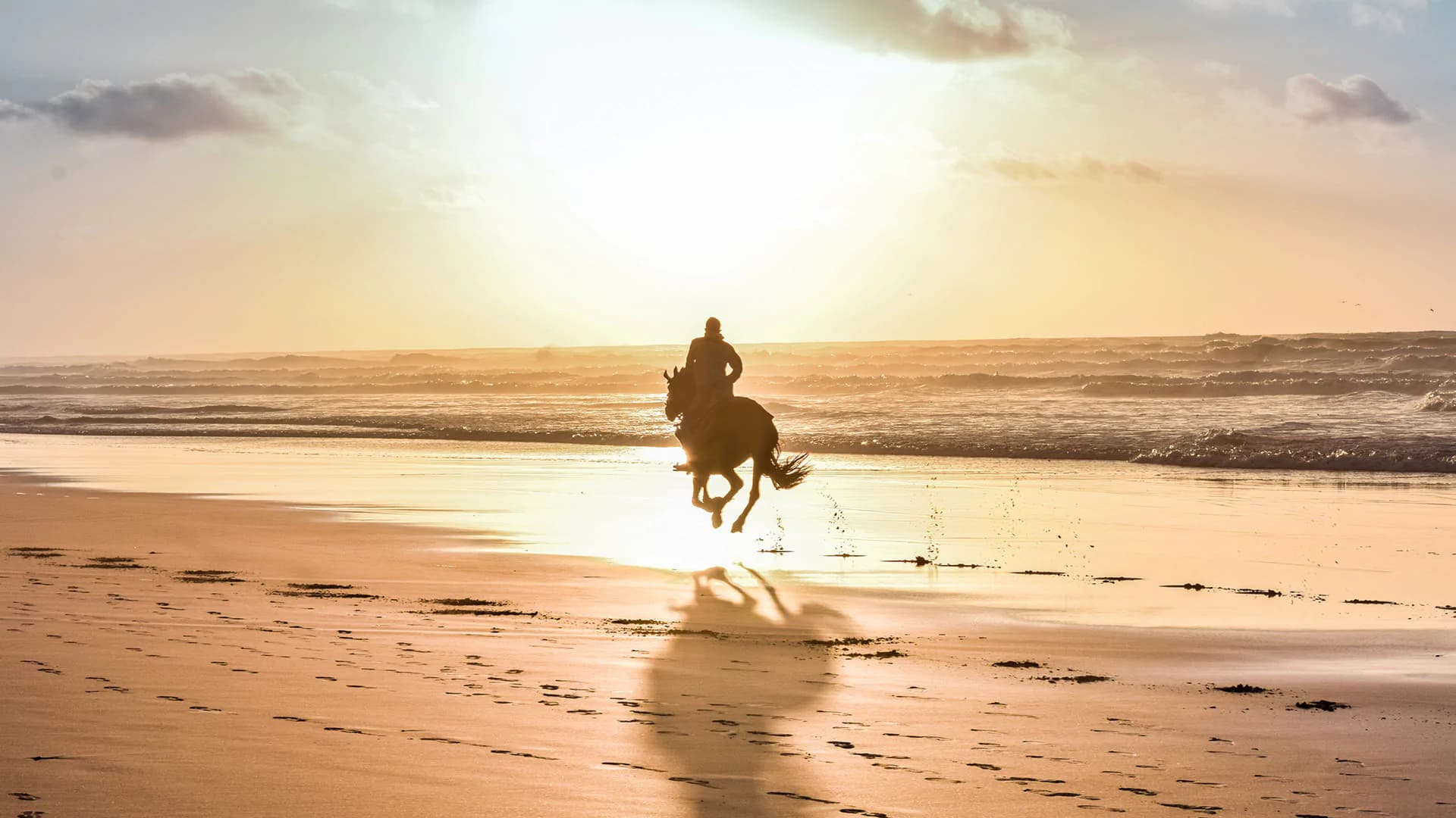 ELIE SAAB Casablanca Art of Living